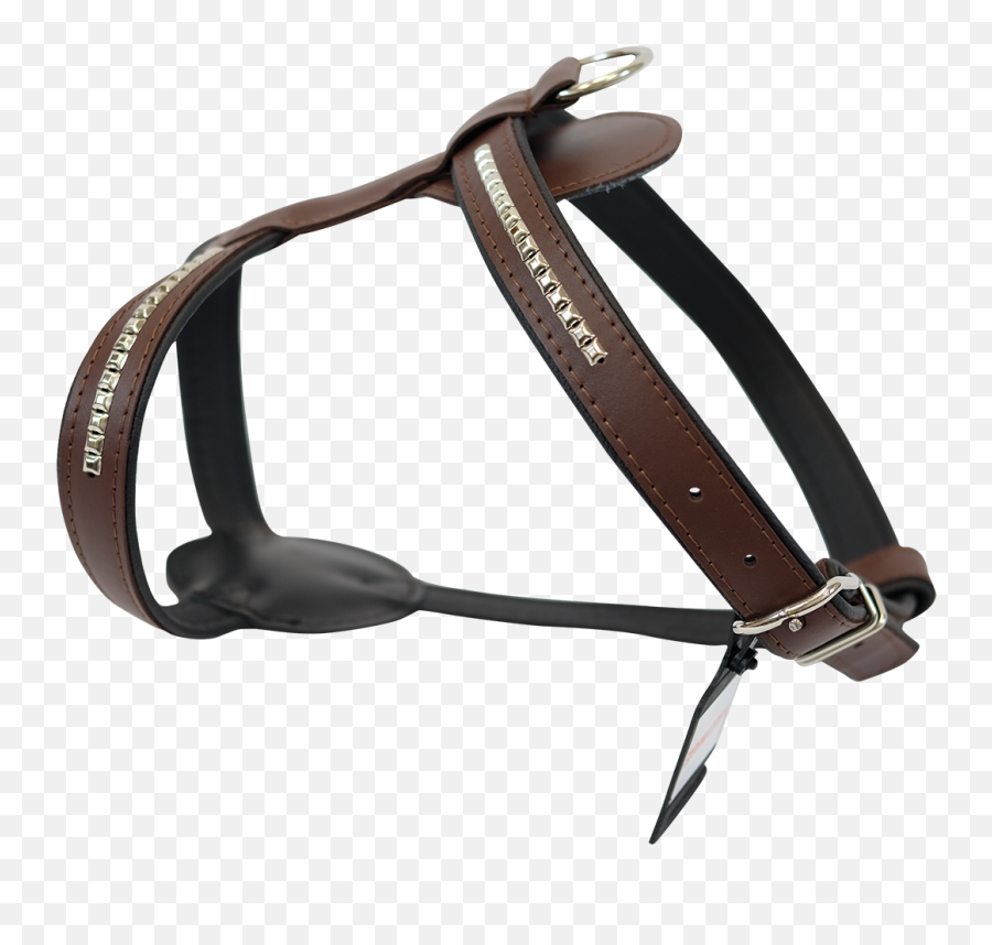 Horse Harness - Horse Harness Png,Tack Png