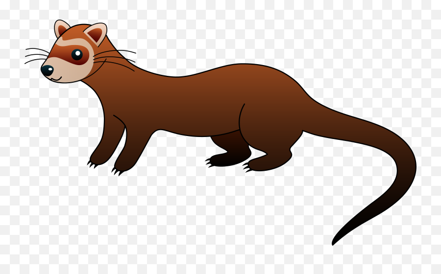 Png Pin Weasel Clipart Cute Carto - Clipart Ferret Png,Weasel Png