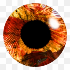 Eye Lens Png Image Hd - Orange Eye Lens Png,Lens Png