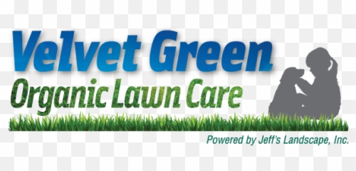 Organic Lawn Care Wakefield Ma - Artificial Turf Png,Lawn Png