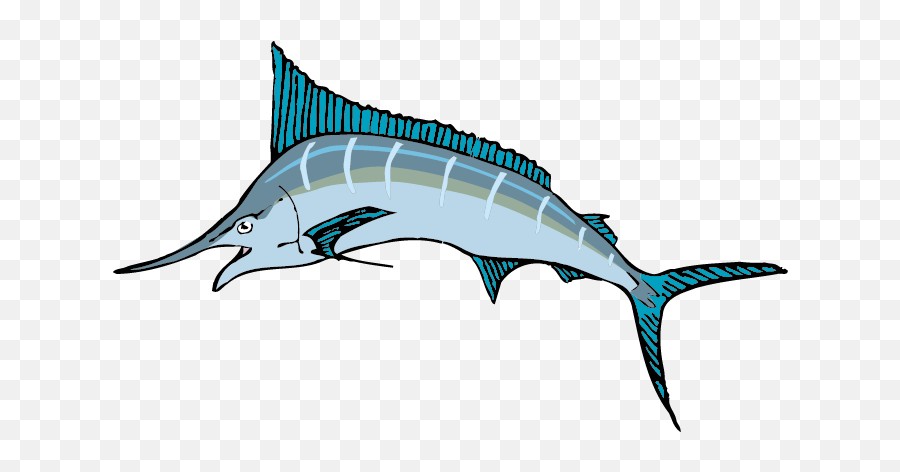 Cartoon Sailfish - Sailfish Clipart Png,Swordfish Png