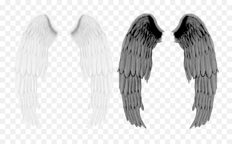 Download Black Wings Png Image For Free - Black Wings Png,Black Angel Wings Png