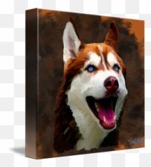 Brown Husky Dog By Sue Molyneaux - Puppy png