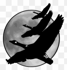 Geese In Front Of Moon Png Svg Clip Art For Web - Download Goose With Moon,Geese Png