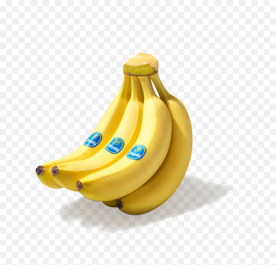 The Chiquita Banana Story Origin Of Miss - Chiquita Organic Banana Png,Banana Transparent Background