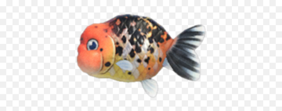 Ranchu Goldfish - Ranchu Goldfish Animal Crossing Png,Goldfish Png