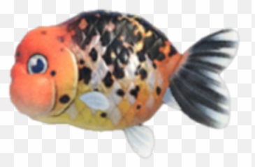 Ranchu Goldfish - Animal Crossing png