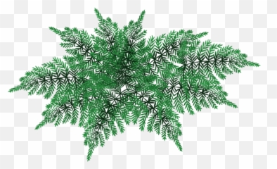 Magicofaquariapart1 - Revision 126 Graphics Fern Png,Ferns Png