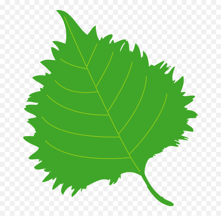 Shiso Herb Leaf Clipart Free Download Transparent Png - Charlotte North Carolina Logo,Herb Png
