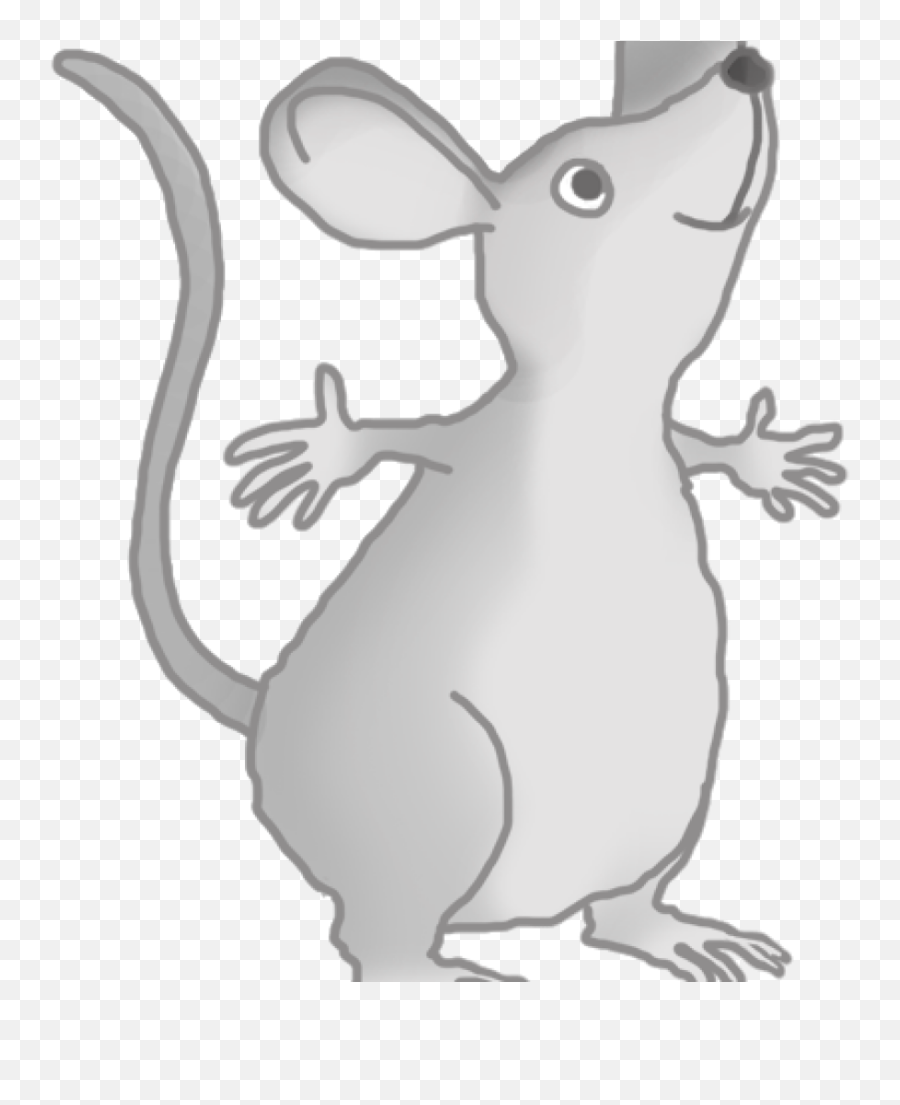 Mouse Clipart Png - Mouse Clipart Transparent,Rodent Png