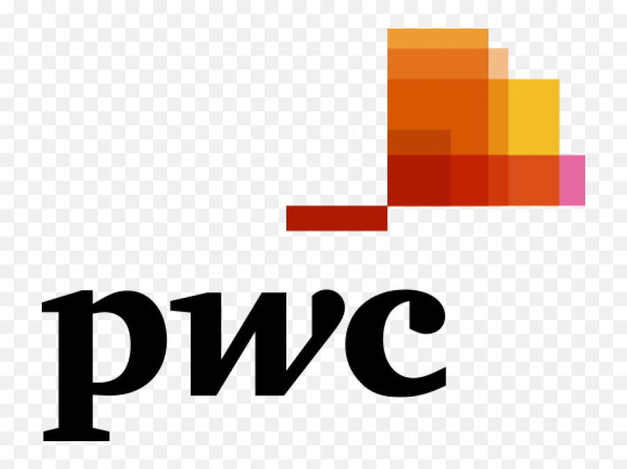 Security Audits Play Critical Role - Transparent Pwc Logo Png,Critical Role Logo