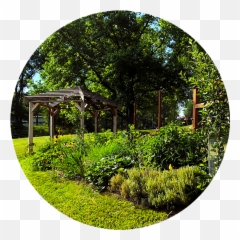 Custom Foodscaping - Shade Png,Landscaping Png