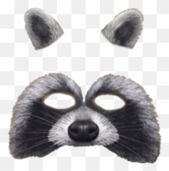 41 Images About Snapchat Filter Png - Animal