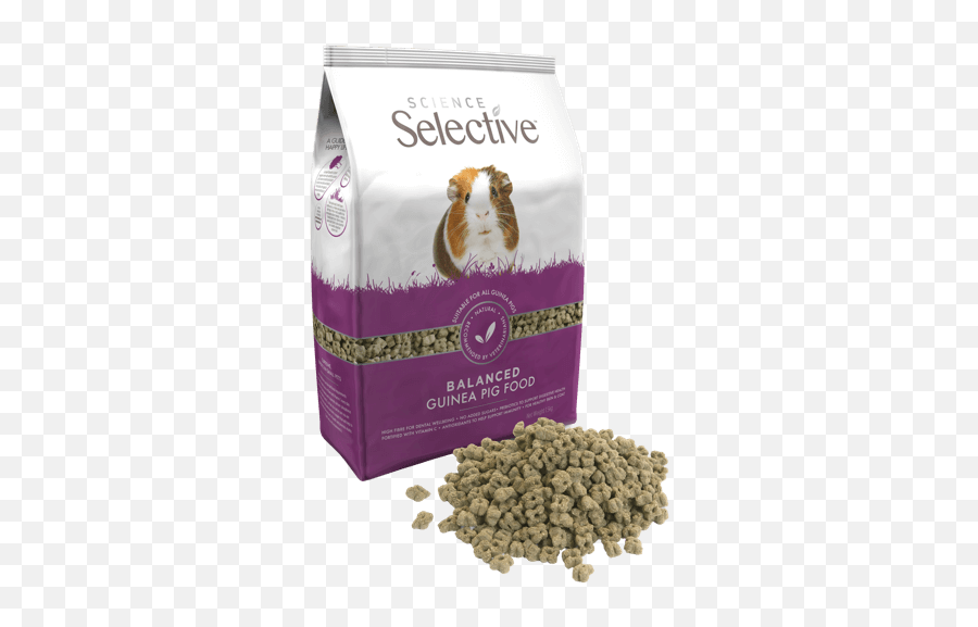 Science Selective Guinea Pig - Selective Guinea Pig Food Png,Guinea Pig Png