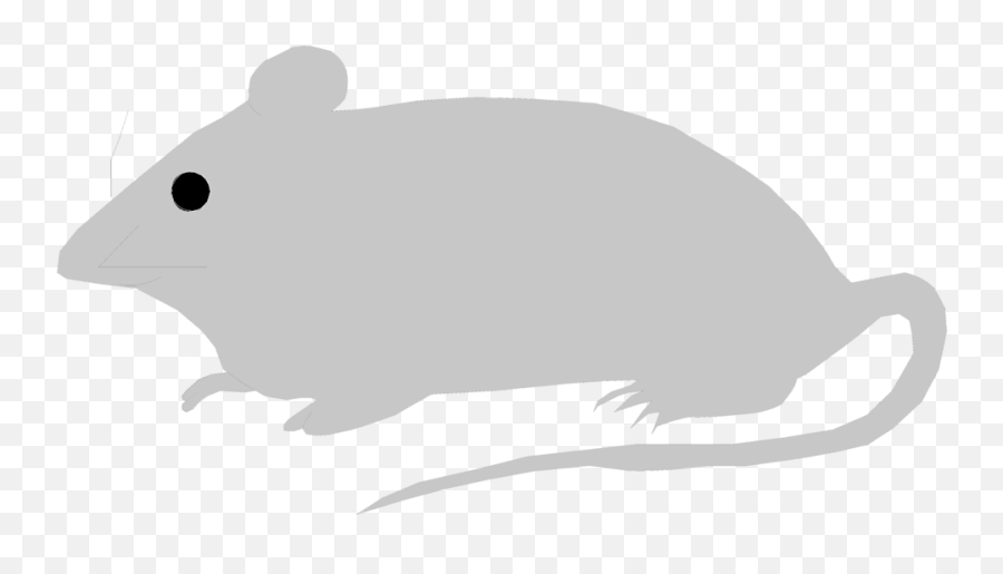 Mice Clipart Deer Mouse Transparent Free - Mouse Illustration Png Free,Mouse Animal Png