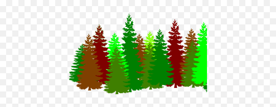 Pine Tree Line Vector - Pine Trees Silhouette Png,Tree Line Png