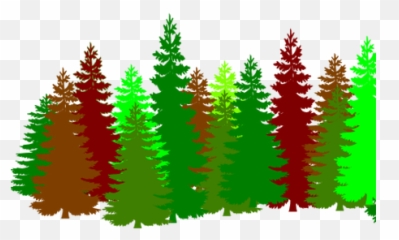 Pine Tree Line Vector - Trees Silhouette Png