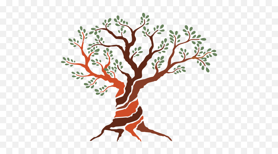 Olive Tree Logo Design - Artistic Png,Olive Branch Logo