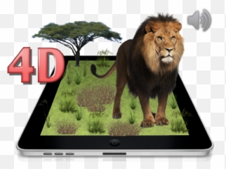 Animal Life 4d 1 - Cards png