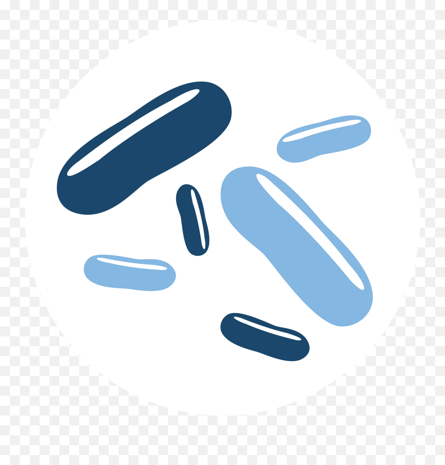Pharmabiotics Event 2022 Png Microbiome Icon