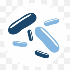Pharmabiotics Event 2022 Png