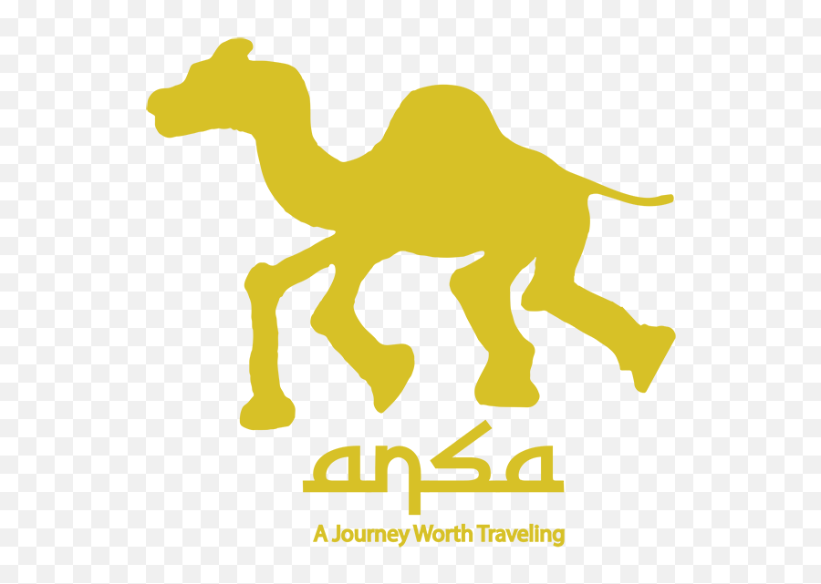 Ansa Clothing - Arabian Camel Png,Camel Logo