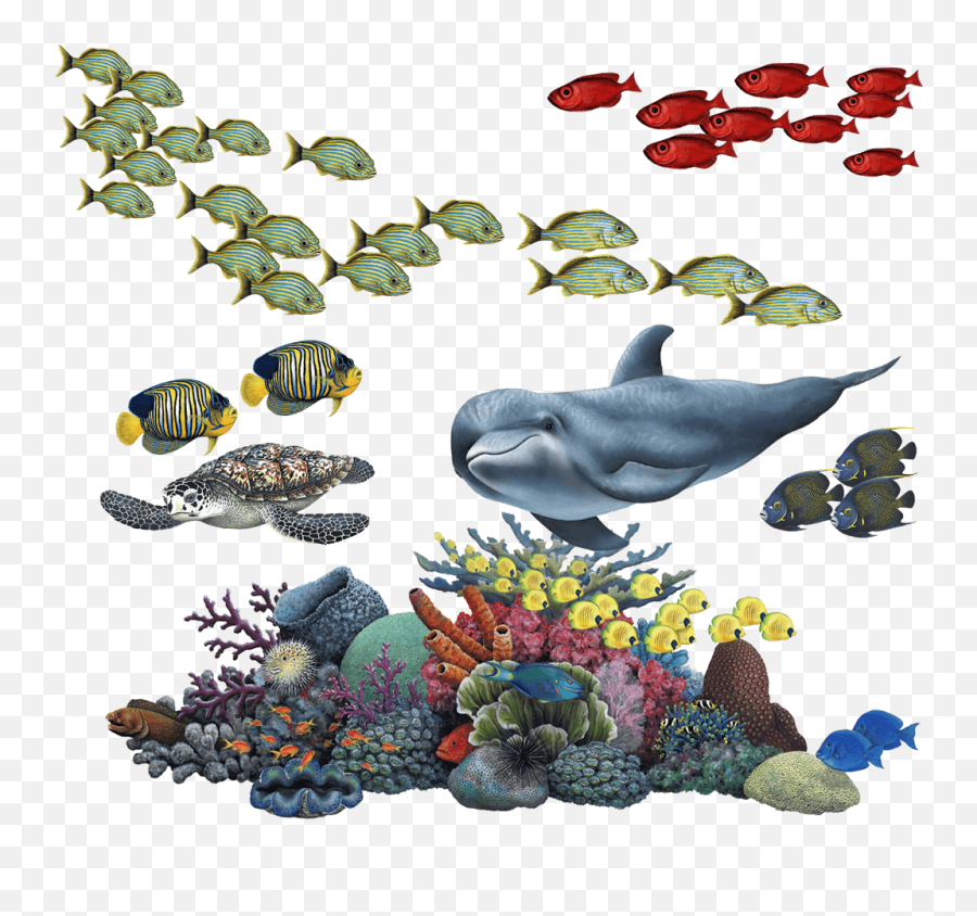 Coral Reef Tropical Fish Mural - Coral Reef Transparent Background Png,Coral Png