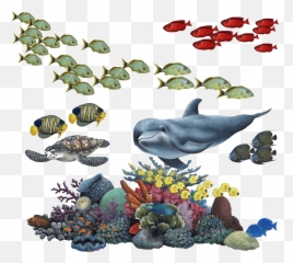 Coral Reef Tropical Fish Mural - Transparent Background png