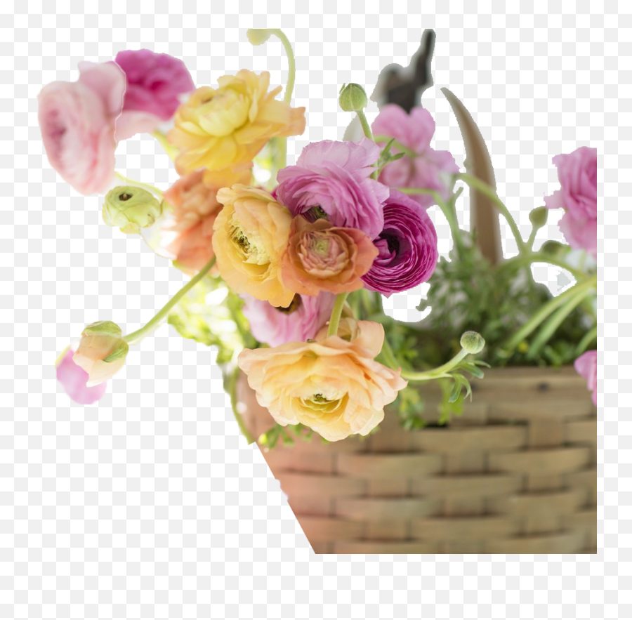 Light Flower Background Png Image Download