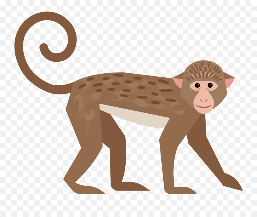Download Hd Cute Little Transprent Png - Transparent Monkey Tail Png,Cute Monkey Png