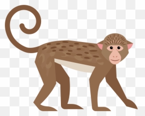 Download Hd Cute Little Transprent Png - Transparent Monkey Tail Png,Cute Monkey Png