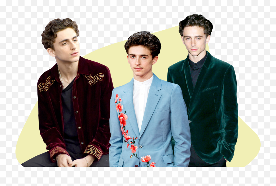 Download Hd Men Fashion Model Png - Cardboard Cutout Person Timothee Chalamet,Male Model Png