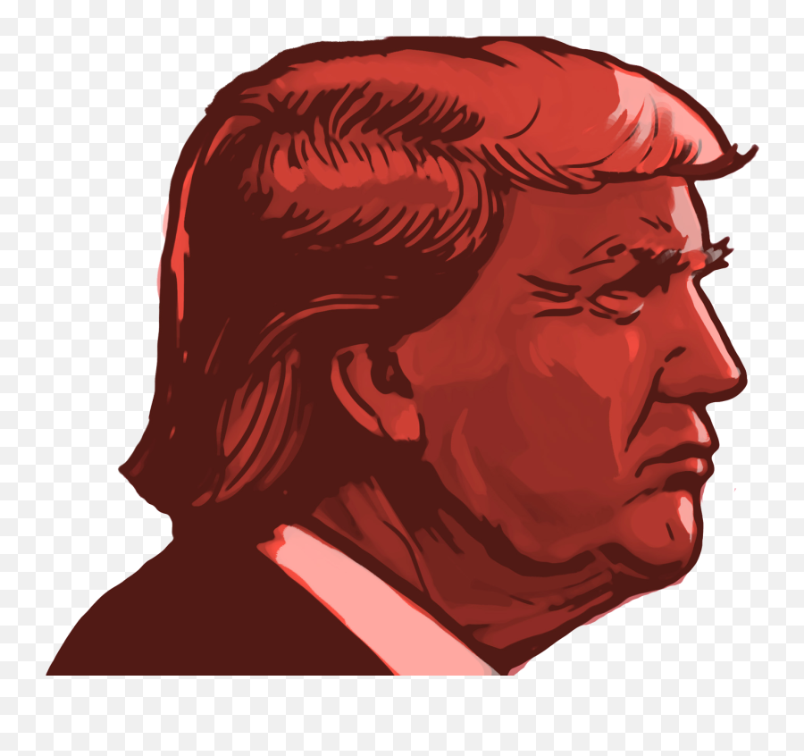 Download Hd In His Second Year Donald Trump Is Building A - Trump Graphic Png,Trump Transparent Background