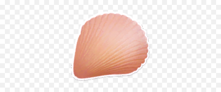 Scallop - Baltic Clam Png,Scallop Png