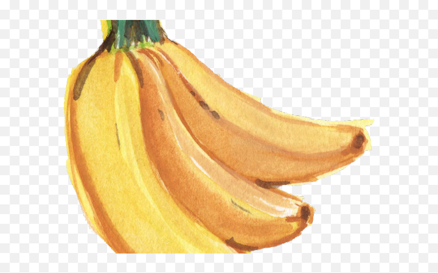 Download Banana Png Transparent Images - Banana Watercolor Png,Banana Transparent