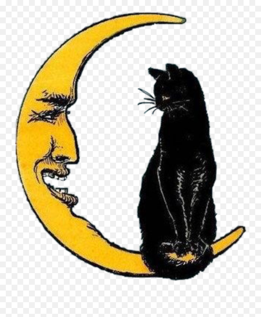 Moon Cat Halloween Vintage Aesthetic - Witch And Cat Vintage Halloween Cat Clipart Png,Cat Png Transparent