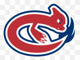 Pokemon As Hockey Team Logos - Nhl png