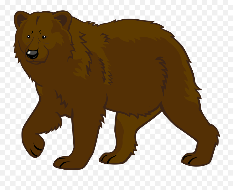 Wild Bear Picture Transparent Library - Bear Clipart Png,Bear Transparent -  free transparent png images 