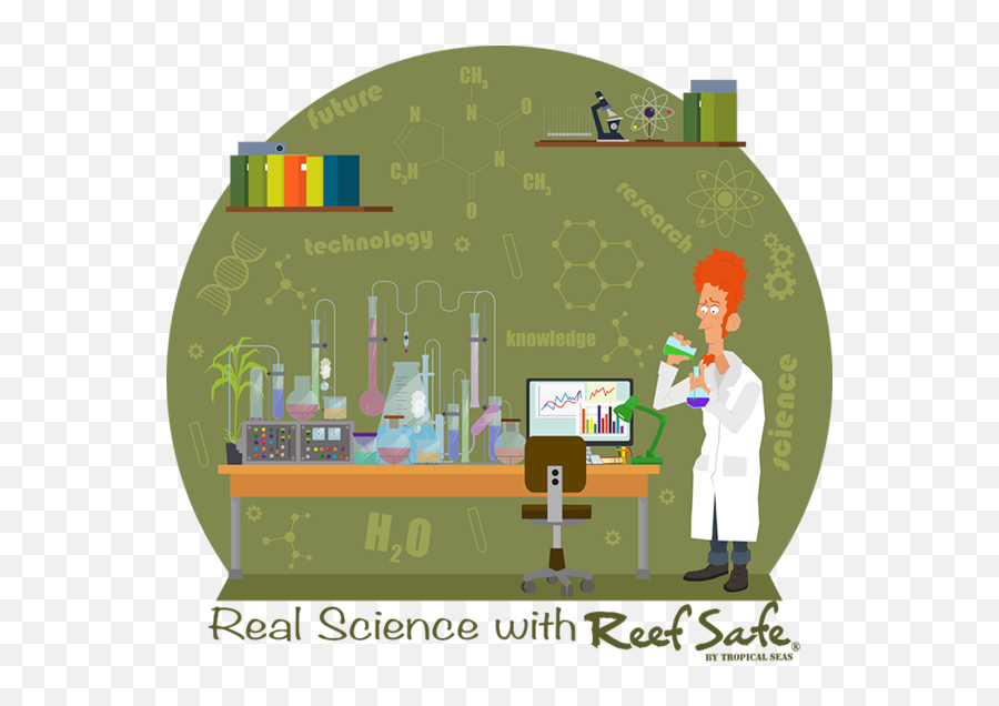 Real Science - Reef Safe Sun By Reef Safe Sun Illustration Png,Real Sun Png