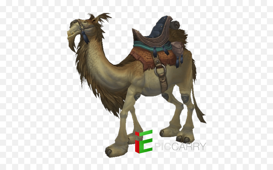 Tan Riding Camel - Reins Of The Brown Riding Png,Camel Transparent