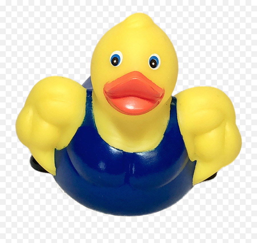 Rubber Duckies - Nicholas M Medium Rubber Duck With Muscles Png,Rubber Duck Transparent