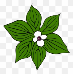 Plantfloraleaf Png Clipart - Royalty Free Svg Png Tropical Rainforest Plants Drawing,Rainforest Png