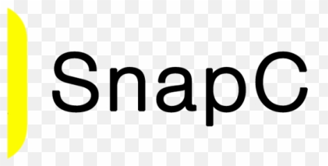 Download Hd Letter Snapchat Logo Png 27 - Oval Transparent Calligraphy,Snapchat Transparent Logo