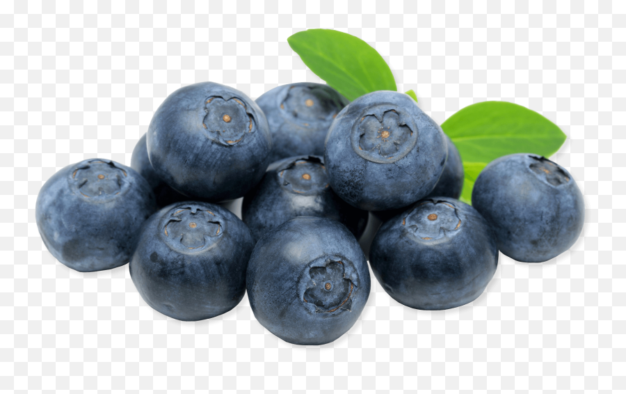 Blueberry Png Image For Free Download - Blueberries Transparent,Blueberry Transparent Background