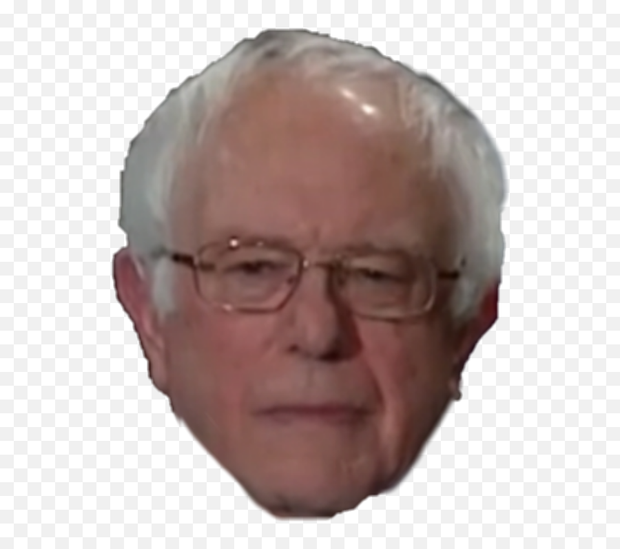 Berniesanders Bernie Sticker - Bernie Sanders Head Png,Bernie Sanders Transparent Background