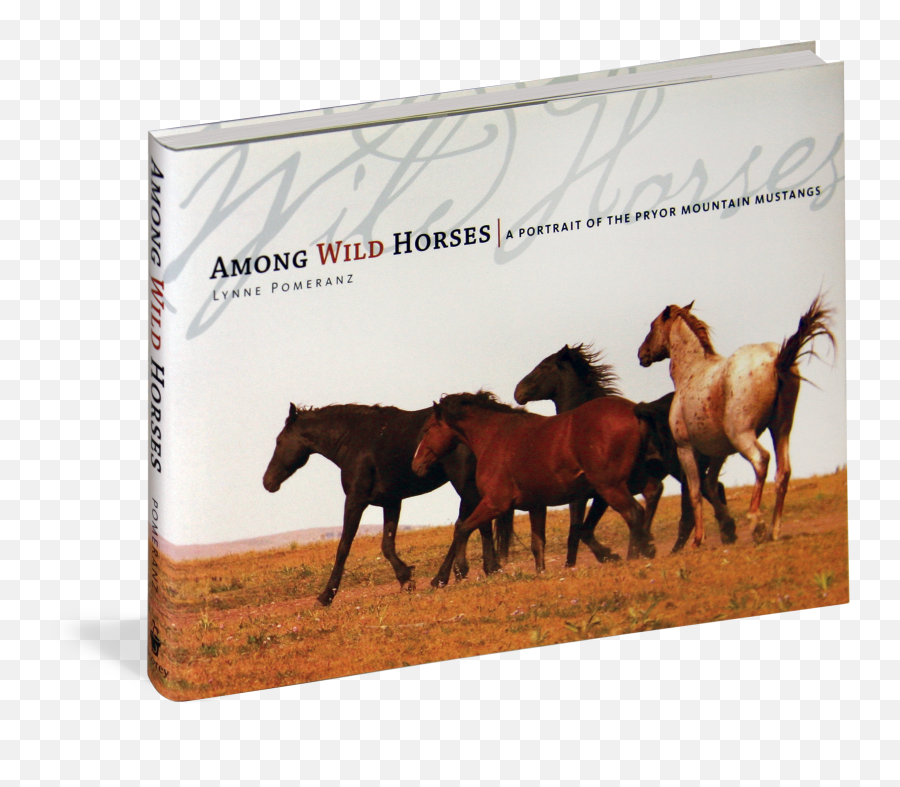 Wild Horse Mustang Quotes - Wild Horse Portrait Png,Mustang Horse Png