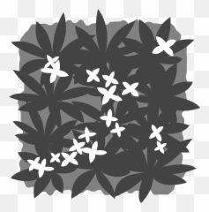 Groundcover Png - Jasmine