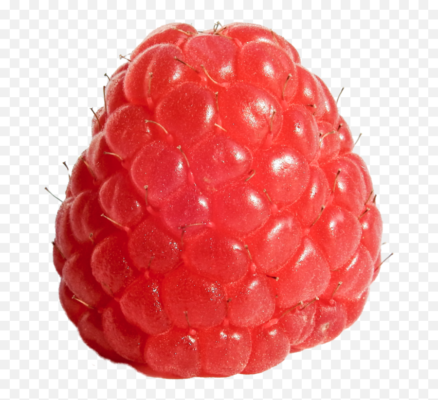 Picture - Raspberry Png,Raspberry Png