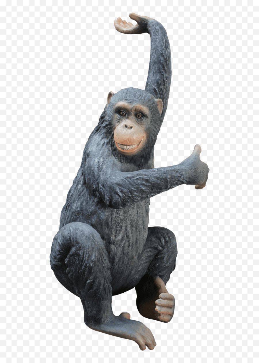 Monkey Chimpanzee Bing Life Size Statue - Old World Monkeys Png,Chimpanzee Png