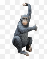 Monkey Chimpanzee Bing Life Size Statue - Old World Monkeys Png,Chimpanzee Png